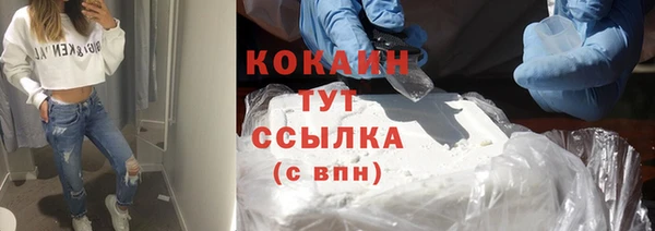 дмт Абаза