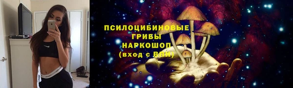 дмт Абаза