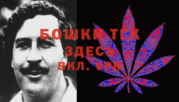 дмт Абаза