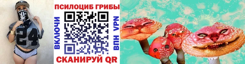 Псилоцибиновые грибы Psilocybe дарнет шоп blacksprut вход Рославль